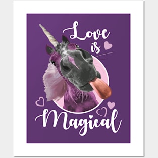 Love is Magical Posters and Art